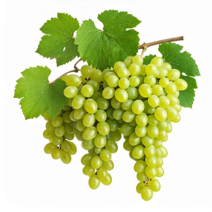 wholesale