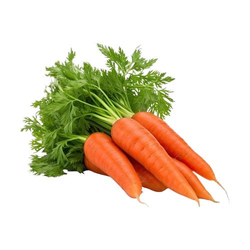 wholesale